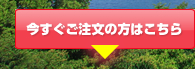 今すぐご注文の方はこちら